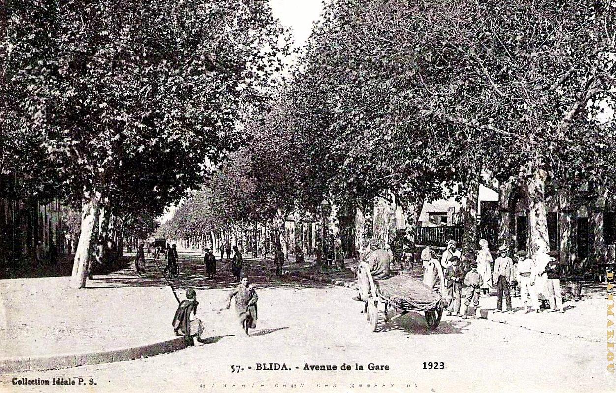2879- Blida - Avenue de la Gare - 1923.jpg